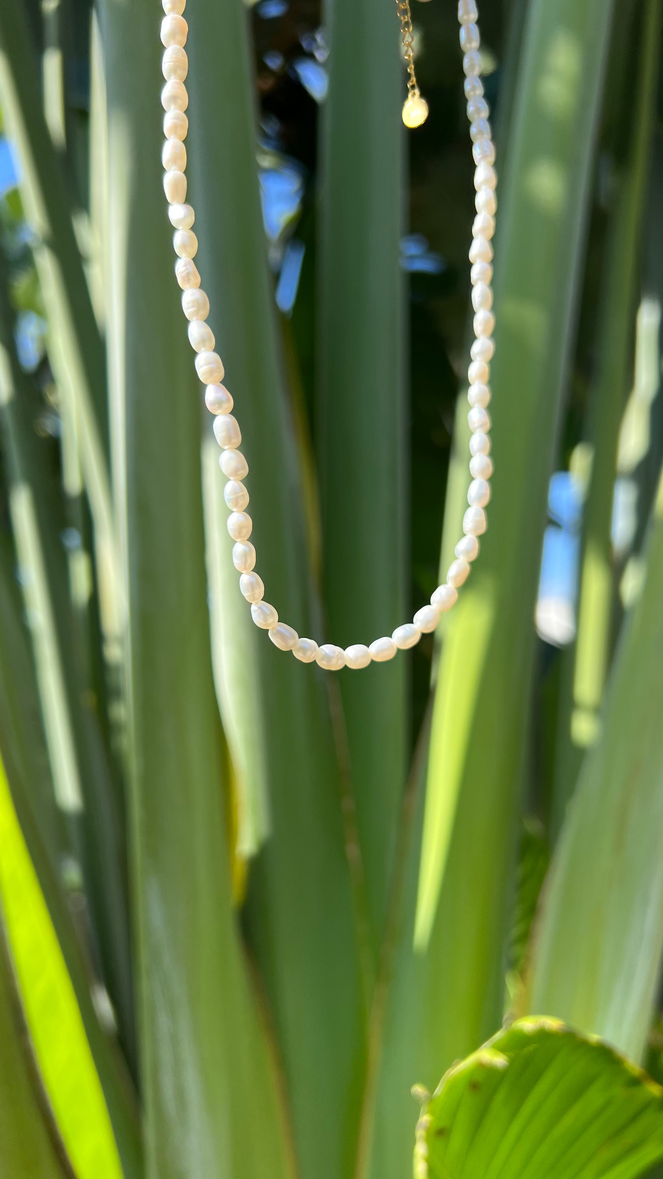 Pearl Necklace