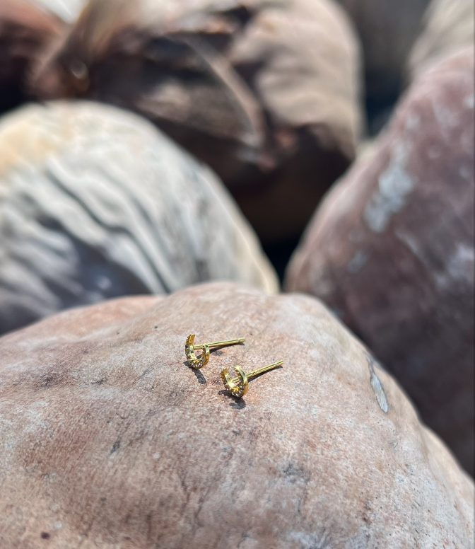 Moon Stud Earrings